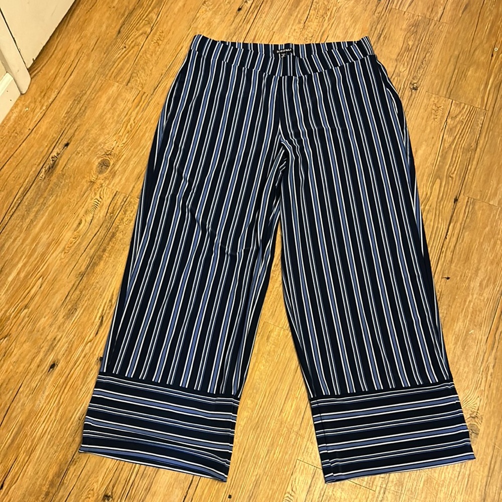 Roz and Ali Women’s Pants Navy/Blue Size 1X
